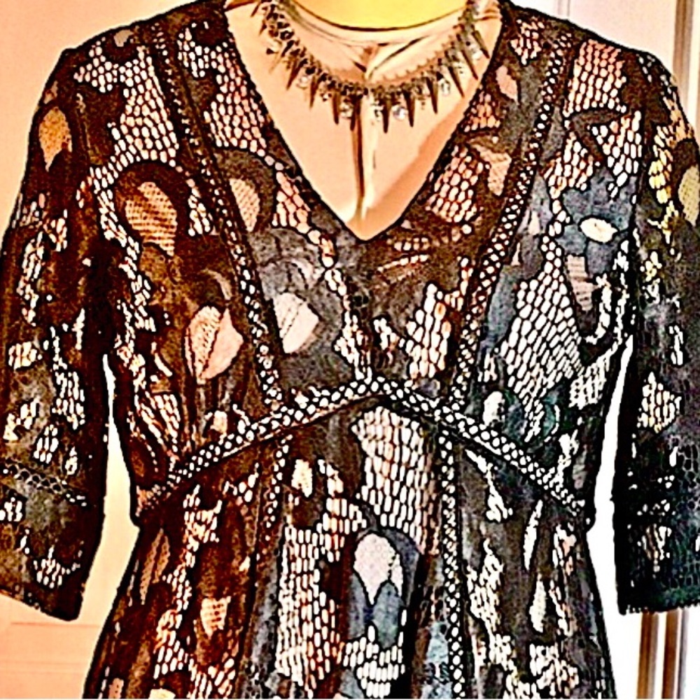 TAYLOR Black Lace Vneck short sleeve Fit and flare midi dress Pink lining SIze 6 - Picture 10 of 14